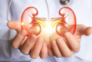 Kidney Doctor in Powai